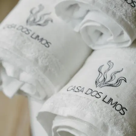 Apartment Casa Dos Limos -