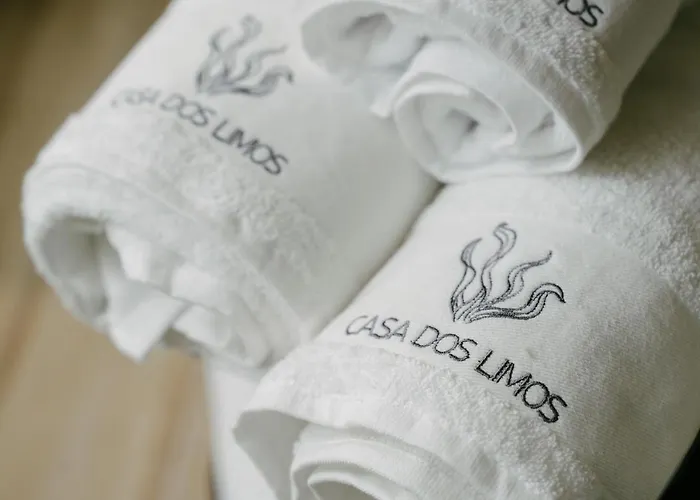 Apartment Casa Dos Limos -